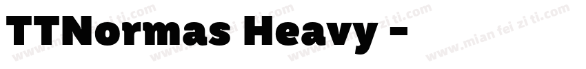 TTNormas Heavy 常规字体转换